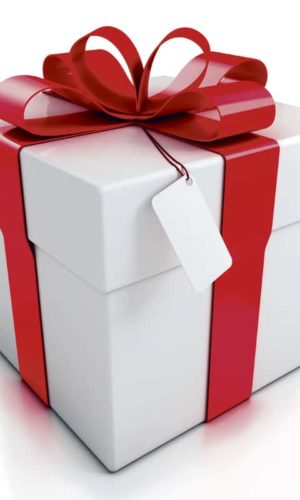 BON CADEAU 1 PLACE EN SEMAINE